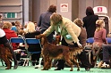 Crufts2011 891